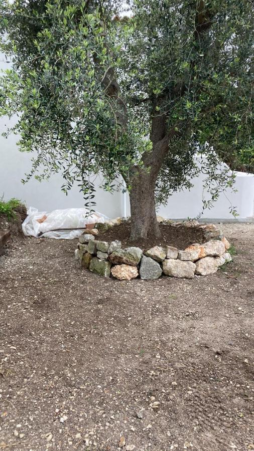 *Suite *Pozzo Dei Desideri Peschici Esterno foto